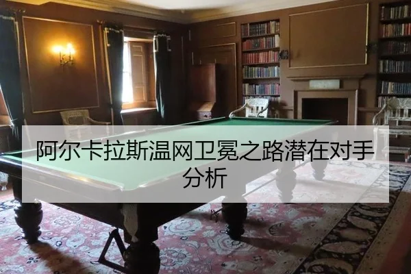 a-er-ka-la-si-wen-wang-wei-mian-zhi-lu-qian-zai-dui-shou-fen-xi-2-542.jpg